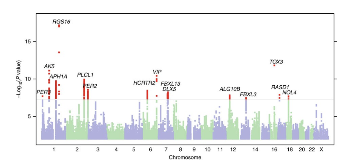 Fast And Scalable Ensemble Learning Method For Versatile Polygenic Risk Prediction Pnas