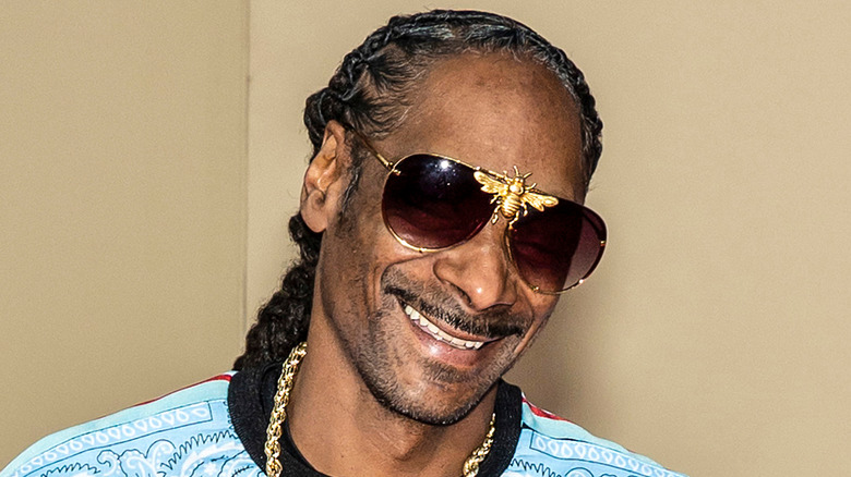 What We Know About Snoop Dogg Amp 39 S Arrest Record